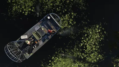 Rockstar Games 发布的 草河湿地 官方截图